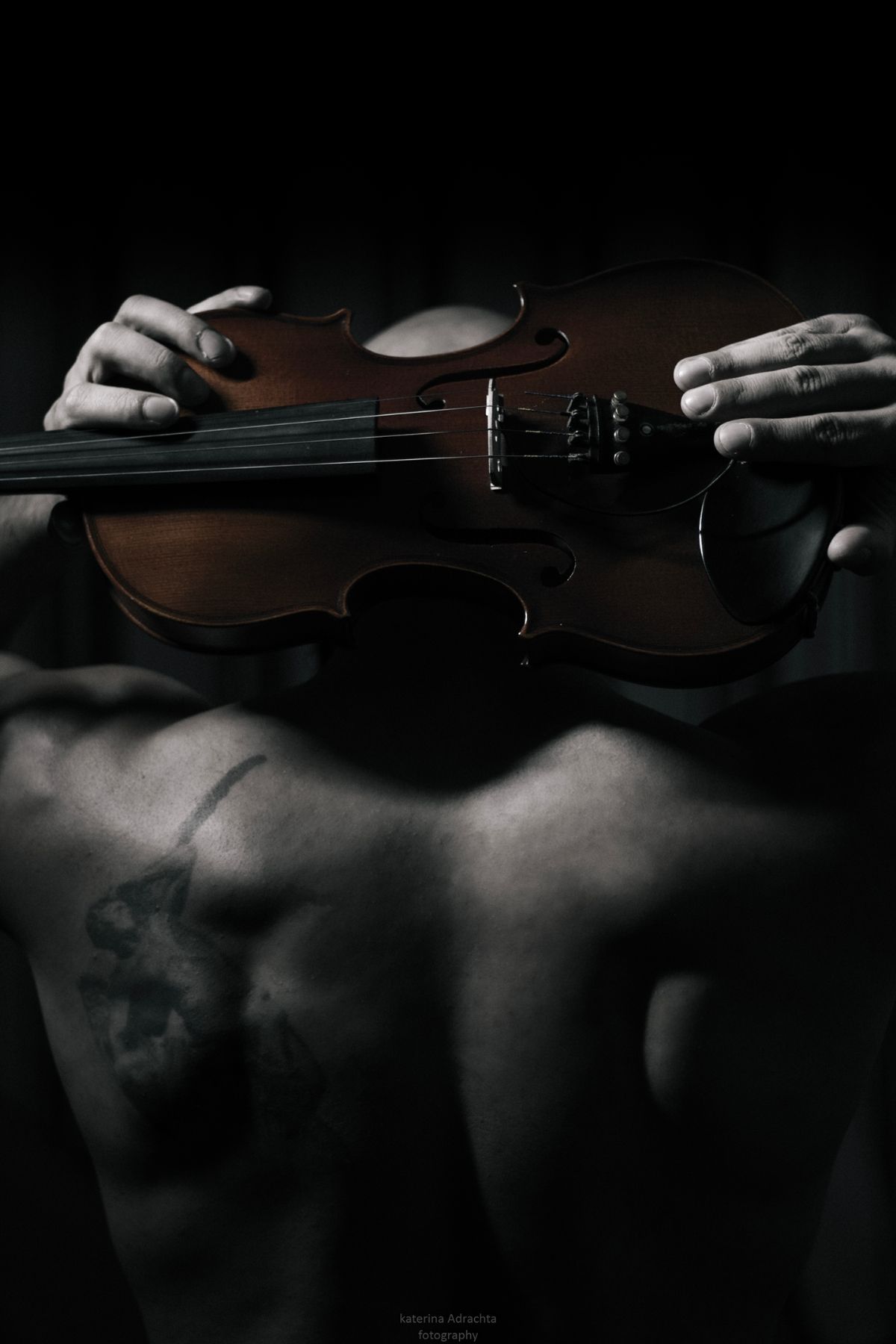 The Violin