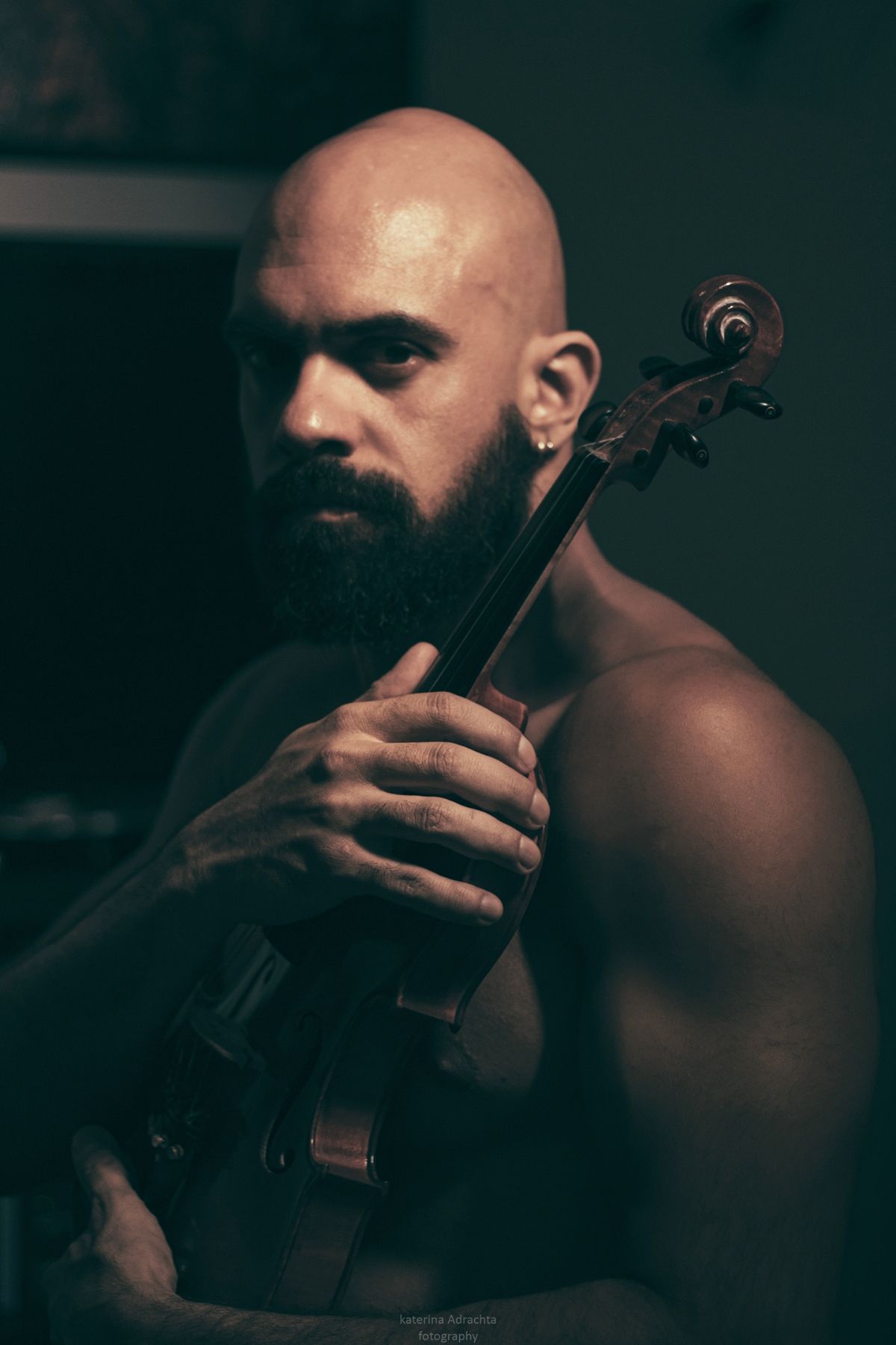 The Violin
