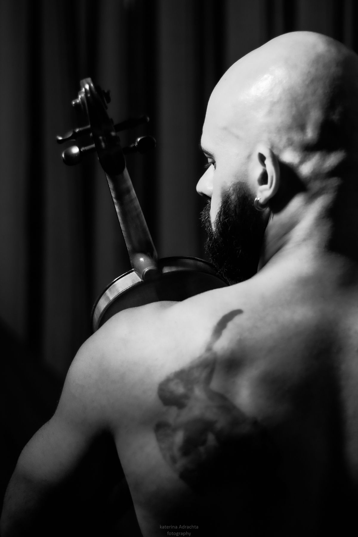 The Violin