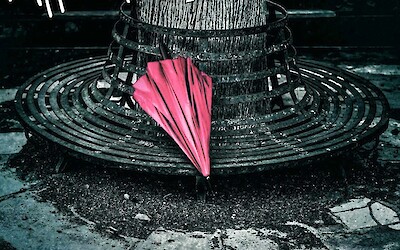 "I Roz Obrella" is now available on all music platforms!